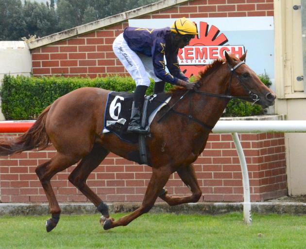 Local filly Kerany speeds away from her rivals to win for trainer Terry Kennedy and rider Shankar Muniandy at Wingatui yesterday. Photo: Jonny Turner