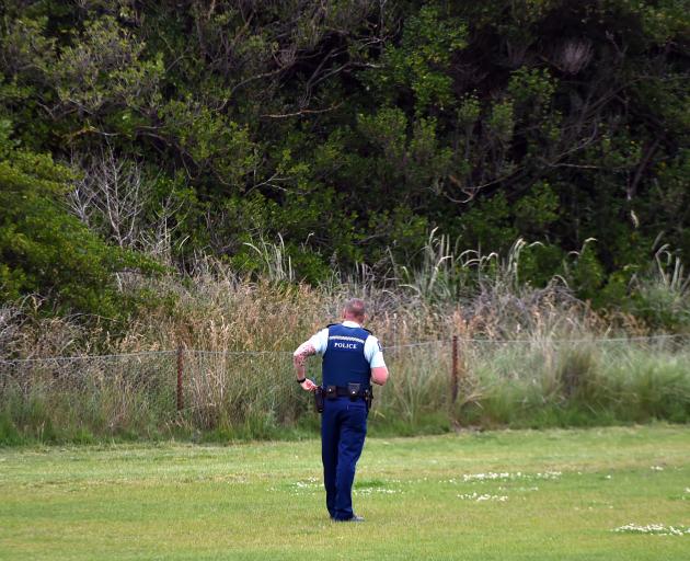 Police search for a man seen ''masturbating in public" near St Clair beach. Photo: Gregor Richardson