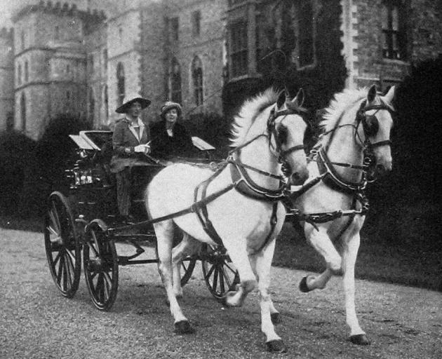 Princess Mary driving her beautiful spirited white horses through the grounds of Windsor Castle, accompanied by the Queen's maid of honour. - Otago Witness, 11.12.1918