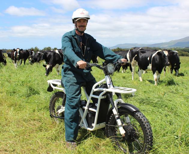 There's no need for Mark Anderson to fuel up before shifting cattle at Westridge Farm, because his motorbike is electric.Photo: Ella Stokes
