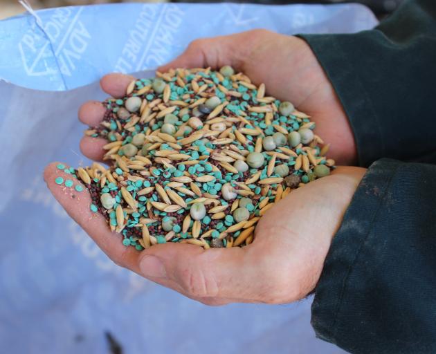 Mark Anderson is trying to plant diverse crops. Pictured is seed for a summer crop of peas, oats, summer turnip, linseed and vetch. 