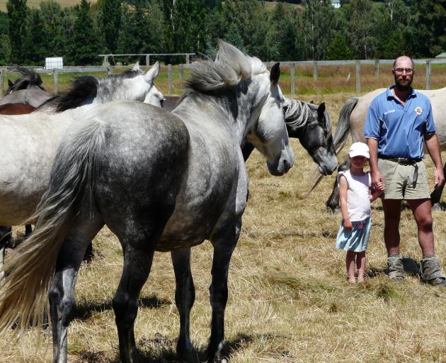 Lawrence Rodeo Club president Murray Hellewell inspects the outlaw broncs with daughter Riley (5) in Wetherstons Gully earlier this week, before the town's rodeo this weekend. Photo: Richard Davison