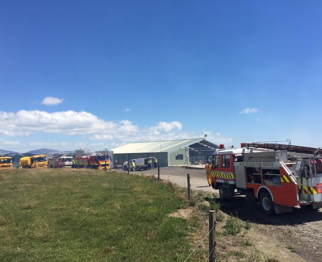 Emergency services at the scene of the fire near Clydevale. Photo: Richard Davison Emergency services at the scene of the fire near Clydevale. Photo: Richard Davison