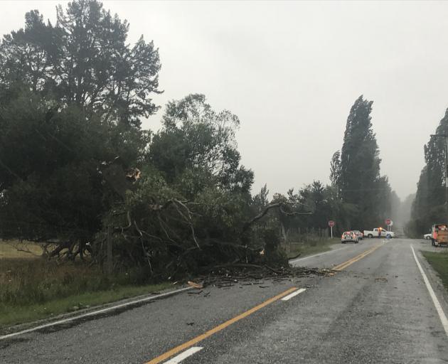 Tree down on Hunter Road. Photo Daisy Hudson