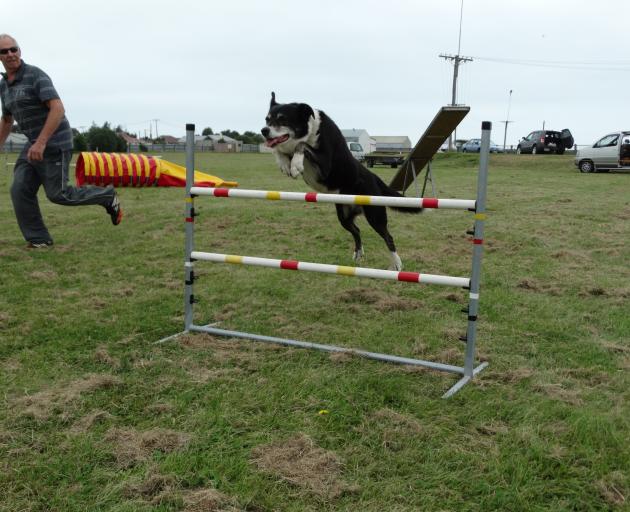 North Otago Dog Training Club president Allen Booth guides 11-year-old Jimmy through a dog...