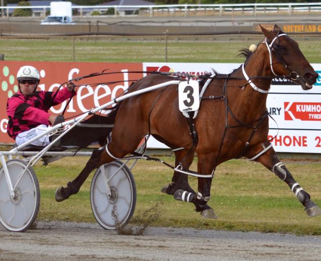Sagwitch (Mark Hurrell) scores an upset win in the Summer Cup at Ascot Park yesterday. PHOTO:...