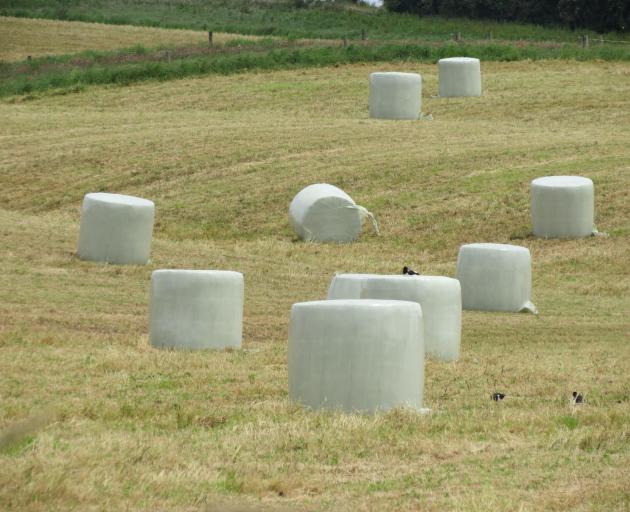 This season's high baleage production will add to the problems of correctly disposing of bale wrap. Photo: Yvonne O'Hara