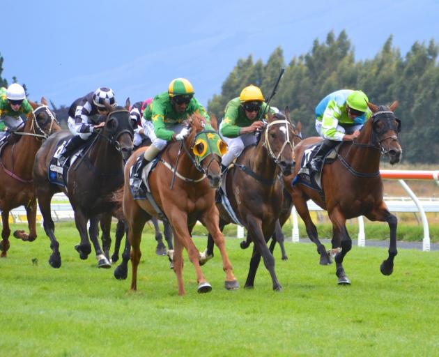 Tommy Tucker (yellow and green blinkers), with Shankar Muniandy aboard, speeds past Gallant Boy (yellow cap) and Princess Brook (light green cap) to win last year's White Robe Lodge Weight-For-Age at Wingatui. Photo: Jonny Turner