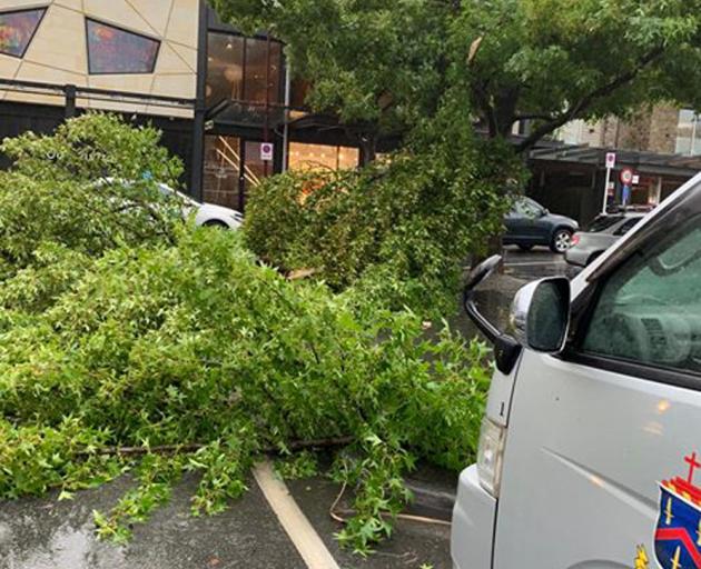 A tree blocks traffic at the corner of Church St and Marine Parade in central Queenstown. Photo: Tu Bull