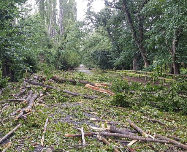Trees down on Speargrass Flat Road, near Queenstown. Photo: Matt Pitt