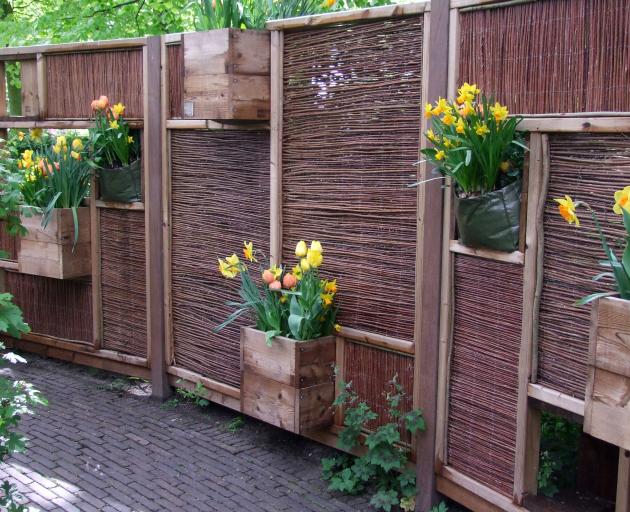 Boxes of plants on a fence is the simplest way to go. Photos: Gillian Vine 
