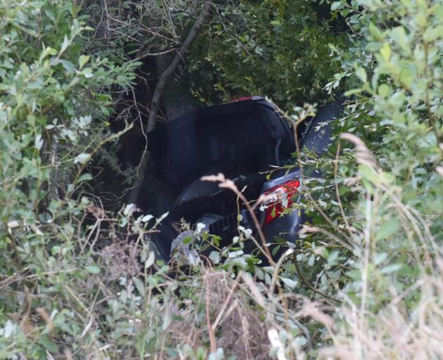 The vehicle came to rest in bush just off the Northern Motorway. 