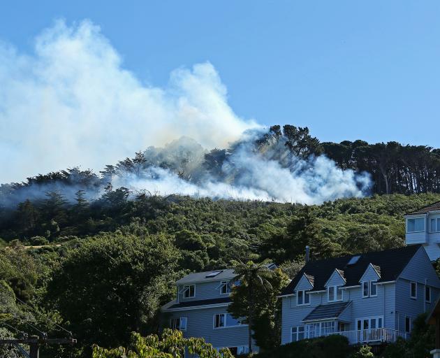 A scrub fire in Wellington is threatening houses in the suburb of Wadestown this evening. Photo:...
