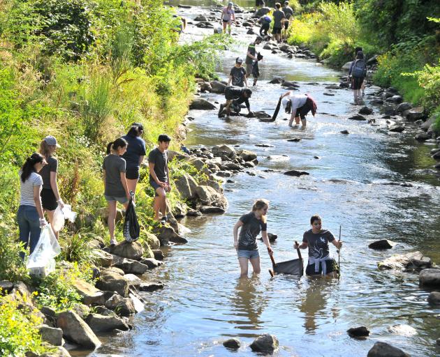 St Margaret's College residents clean up the Water of Leith near the University of Otago. Photo: Christine O'Connor