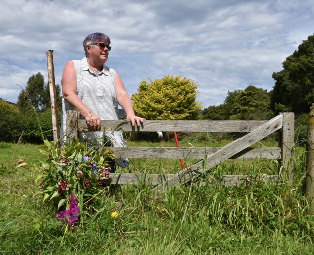Flowers were left beside the Waitati paddock in which miniature horse Star was attacked - the...