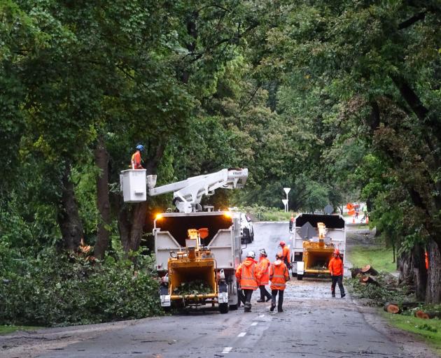 Queenstown Lakes District Council contractors deal to a tree on Centennial Ave, in Arrowtown,...