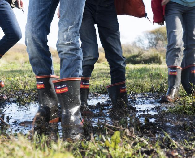 Red Band gumboots by rubber product manufacturer Skellerup.PHOTO: SUPPLIED