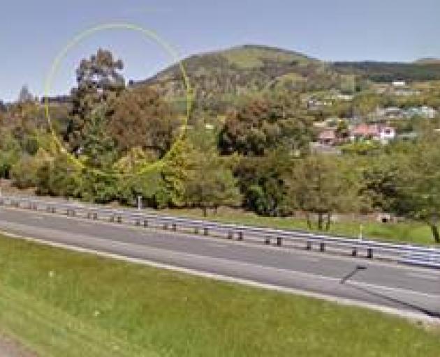 The trees in question, circled, as viewed from the highway. Photo: NZTA