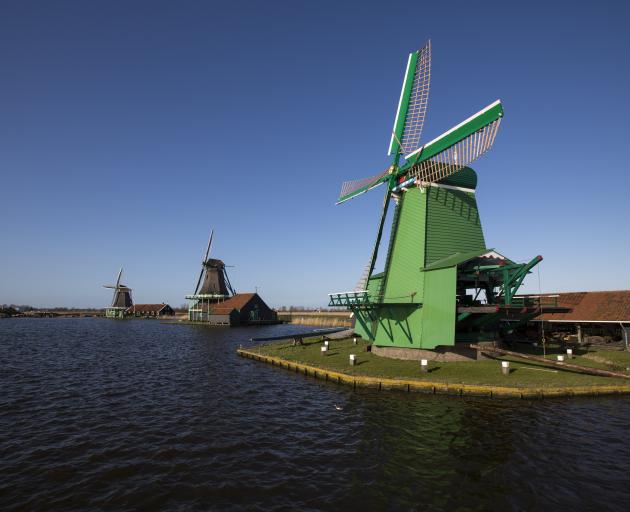 A green mill makes a striking display in Zaanse Schans. Photo: Cris Toala Olivares 