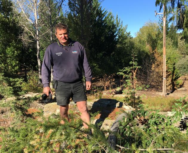 Alexandra Bridge Hill resident Geoff McHardy looks over a tree he believes Aurora Energy claims...
