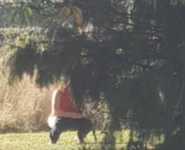A woman urinating just off State Highway 1 in Ashburton. Photo: Facebook