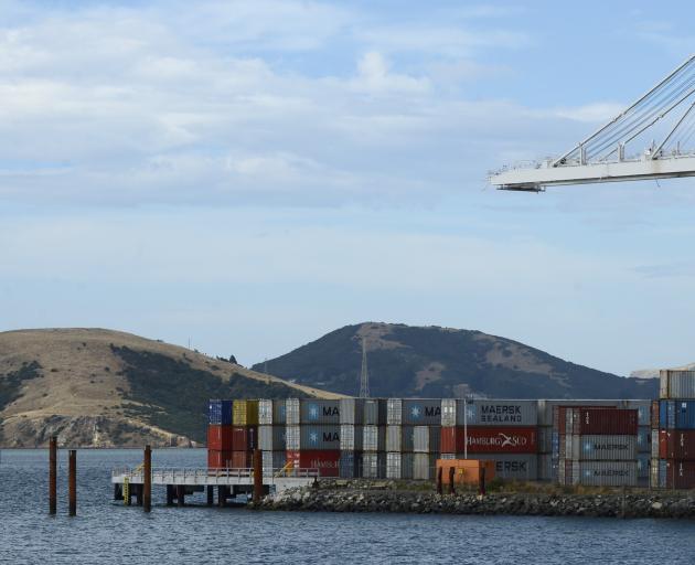 Piles (far left) have been sunk for the future $1 million Port Otago public fishing wharf at...