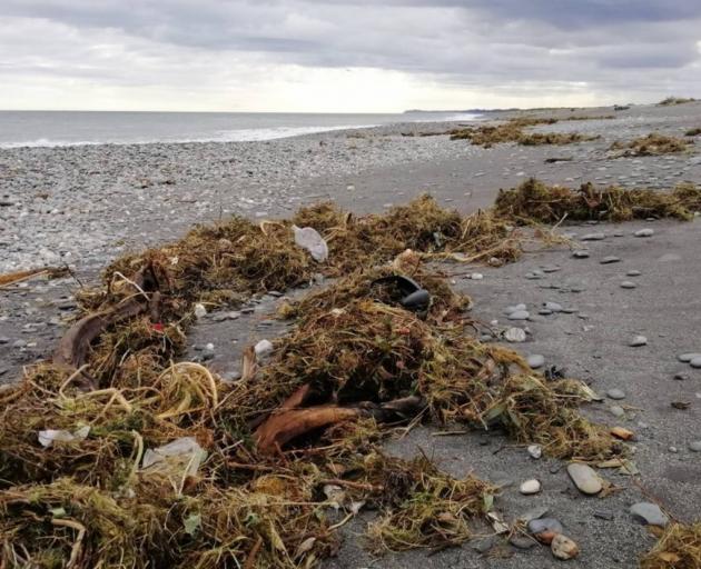 It's estimated about half of the rubbish from the old Fox Glacier landfill has been swept away...