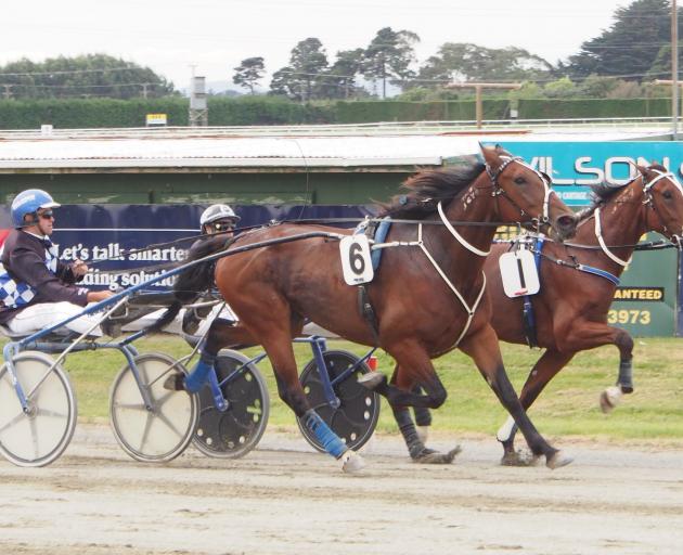 Majestic Man (6) fends off the challenge of Kings Landing to win the group 3 Southern Lights Trot...