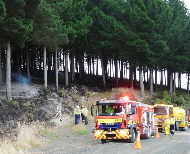 The long, dry summer affected Port Otago's log exports; pictured, firefighters discuss plans to extinguish a forestry fire near Milton, estimated to have covered 12ha, in late February. Photo: Richard Davison