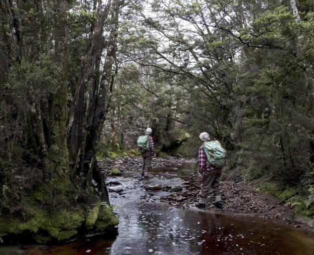 Twin brothers Nigel and Steffen MacKay take foraging tours. 