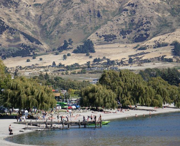 The rampant rate of visitors to Wanaka has slowed, and numbers are now nearly the same as last...