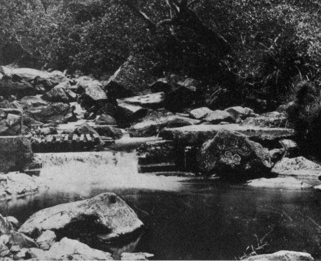 On the Upper Leith: the emergency intake near Morrison's Creek. - Otago Witness, 19.3.1919.