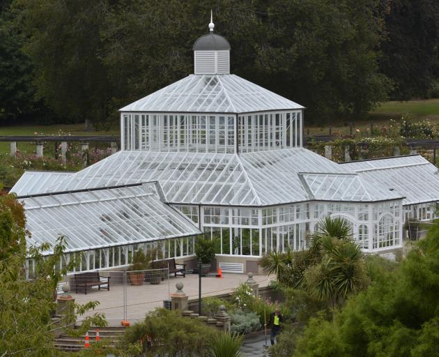 More than 700 plants have been replanted in the Dunedin Botanic Garden winter glasshouse after a ...