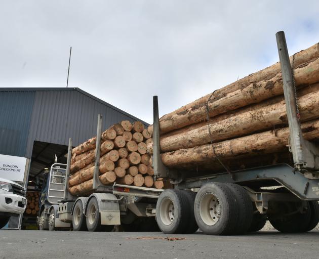 Logs, dairy and meat drove a more than 50% export boost  for March. Pictured: Logging trucks line...