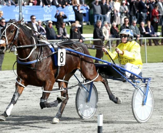 Trainer Mark Purdon nominated Princess Tiffany for the Easter Cup recently to display his...