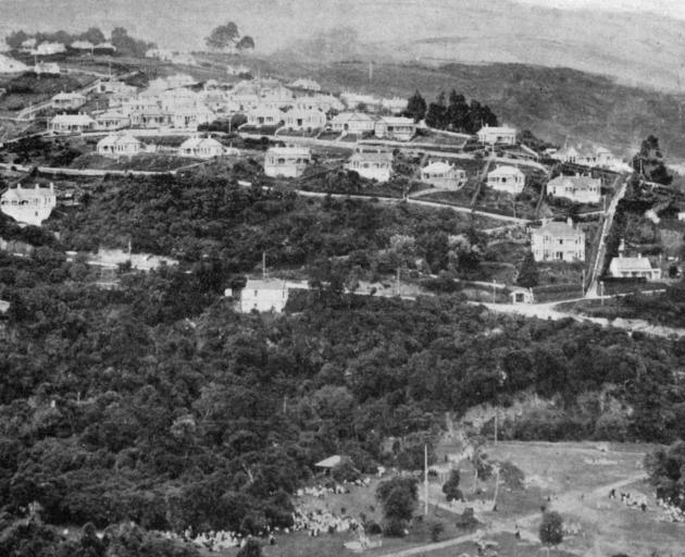 A rising suburb of Dunedin: Dalmore, from Maori Hill, showing a portion of Woodhaugh Gardens in the foreground. - Otago Witness, 23.4.1919 