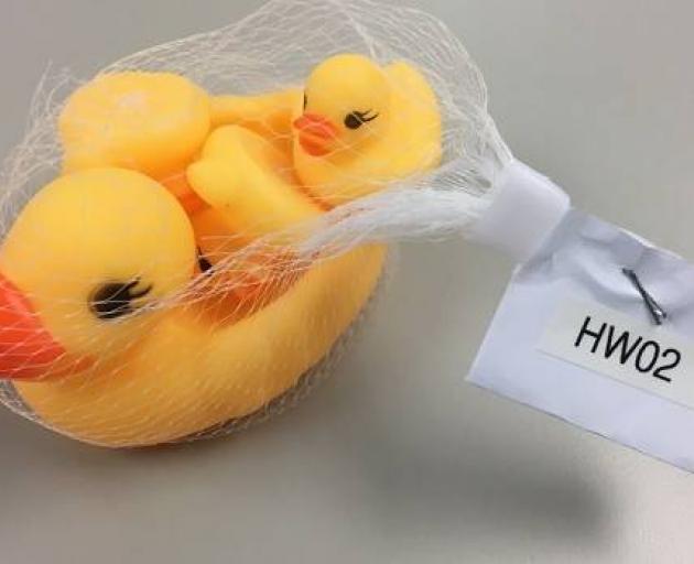 Rubber ducks that posed a choking risk to young children helped earn an importer a $20,000 fine....