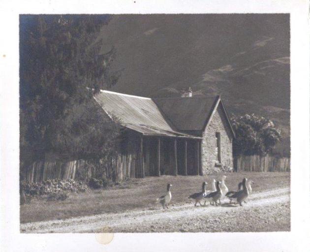 Ducks cross the road outside Gantleys before it was restored in the 1950s. 