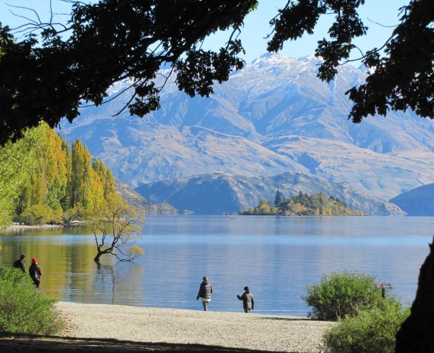 Cold temperatures did not seem to be putting tourists off visiting that Wanaka tree yesterday. It...