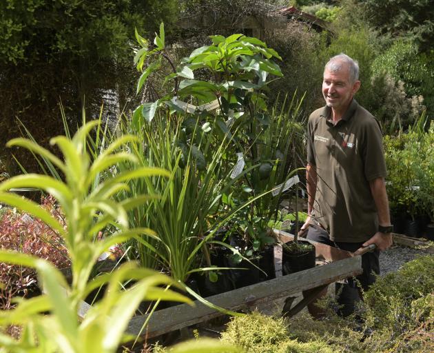 Ribbonwood Nurseries co-owner Philip Dunn with natives for the backyard. Photo: Linda Robertson