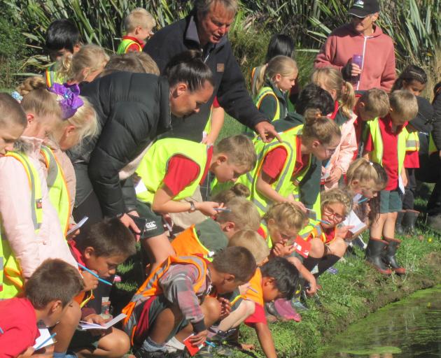 Hinds School pupils check out a pond where mudfish live. 