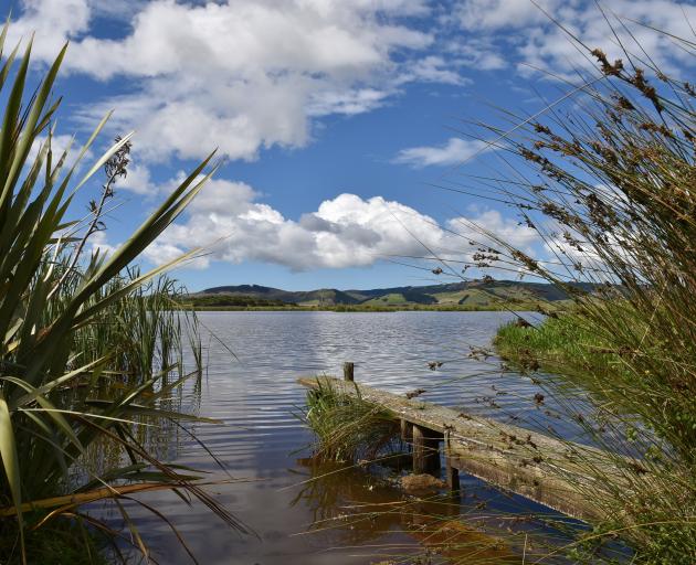 The Sinclair Wetlands on the Taieri Plain provides a home to 60 bird species and more than 100...