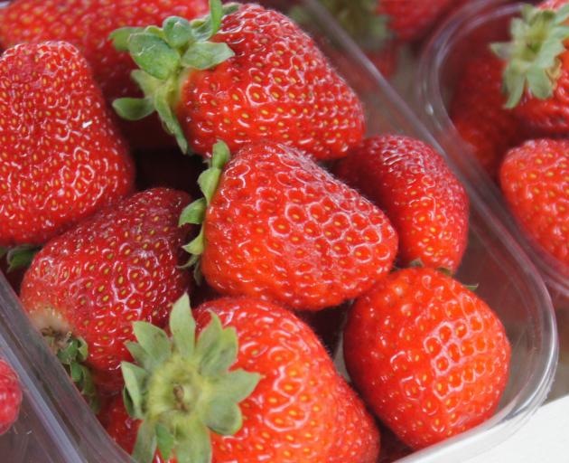 Researchers have been following strawberries from grower to retailer to find out how traceable produce is, in case of a recall. Photo: Wikimedia Commons