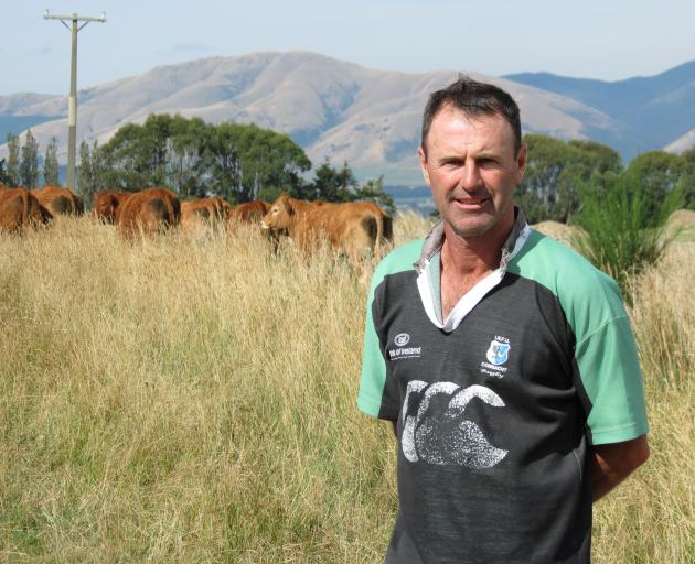Clark Scott, of Loch Head Limousin Stud, near Heriot, pictured with some of their R2 Limousin heifers, said they had sent two yearling bulls to Dunsandel as part of Limousin New Zealand's annual trial. About 16 yearling bulls are run together under the sa