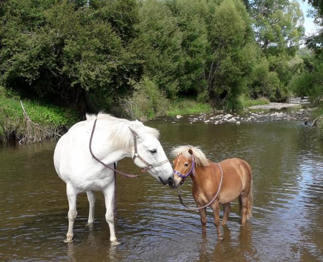 Star (right) in happier times. Photo: Supplied