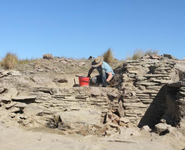 University of Otago archaeological dig team Peter Mitchell excavates the interior of a large brick-lined bread oven, cut into the hillside at the historic Nenthorn railway construction camp. Schist slabs were used to form the face of the oven and once sup