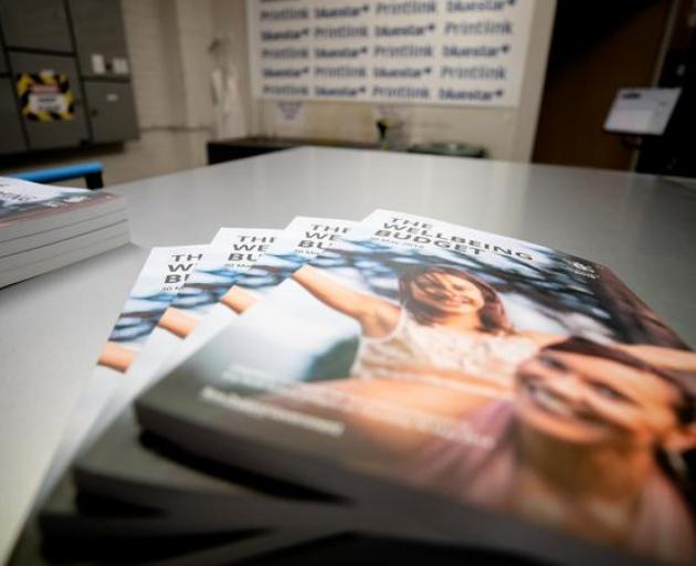 This year's Budget has not been well-guarded by Treasury. Photo: RNZ