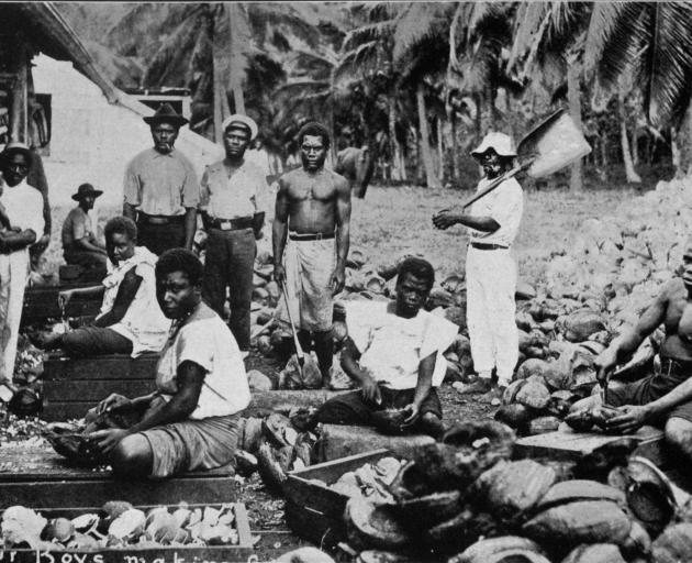 Labour boys making copra in Samoa. - Otago Witness, 14.5.1919 