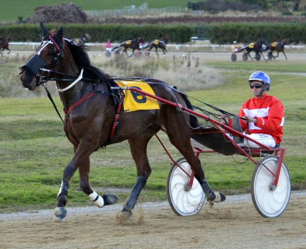 Get Lucky and driver Brad Williamson return to the winner's circle after success at Oamaru...