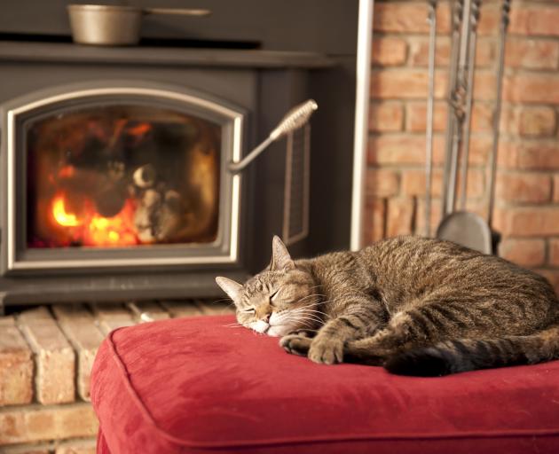 Cats tolerate you and really adore the armchair that is closest to the fire. Photo: Getty Images